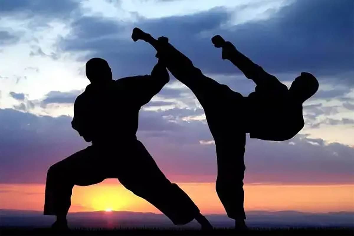 全面解锁中国武术秘笈：从传统套路到现代格斗的终极指南