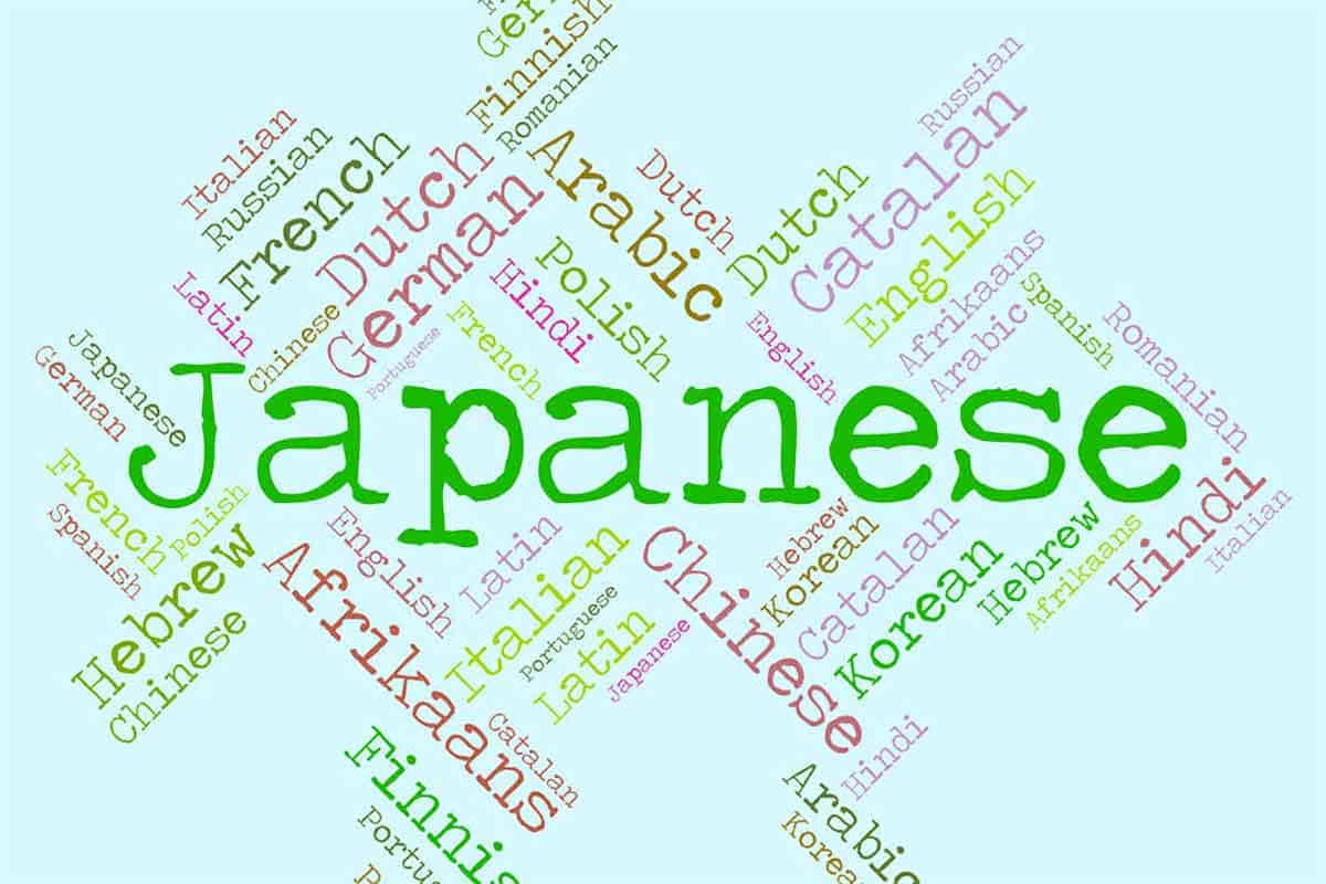 零基础逆袭！B站超人气日语入门课程全收录（188节完整版）