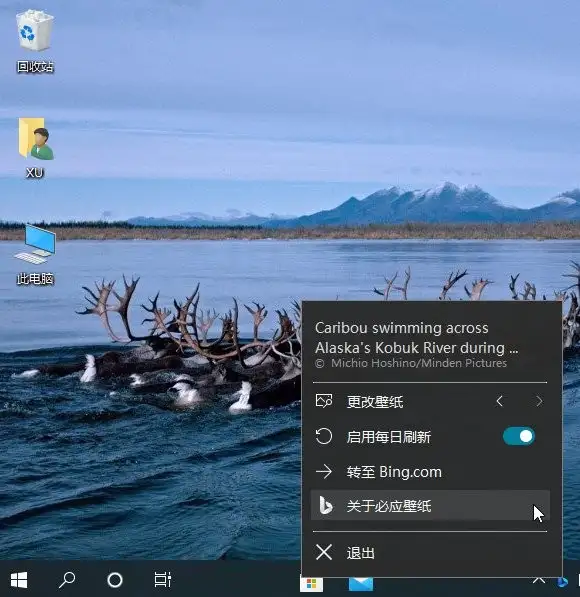 Bing Wallpaper v1.1.403.0解锁桌面新姿：多元风格，每日焕新|必应桌面壁纸工具