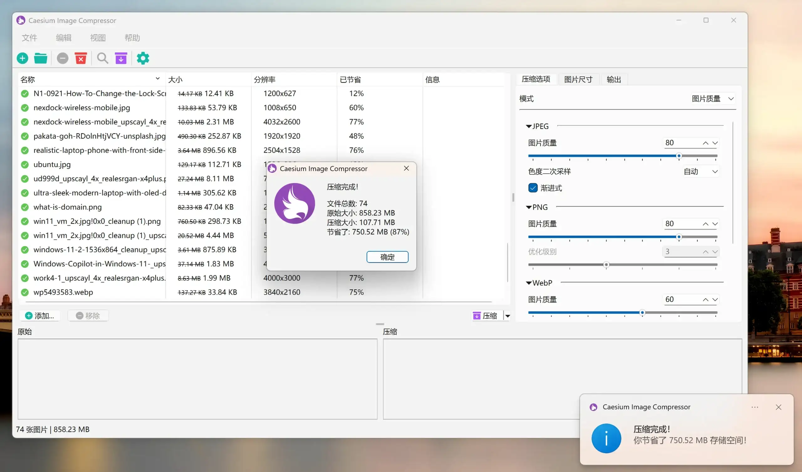 Caesium v2.8.4绿色便携版|高效的图像批量压缩神器Caesium，支持win+macos