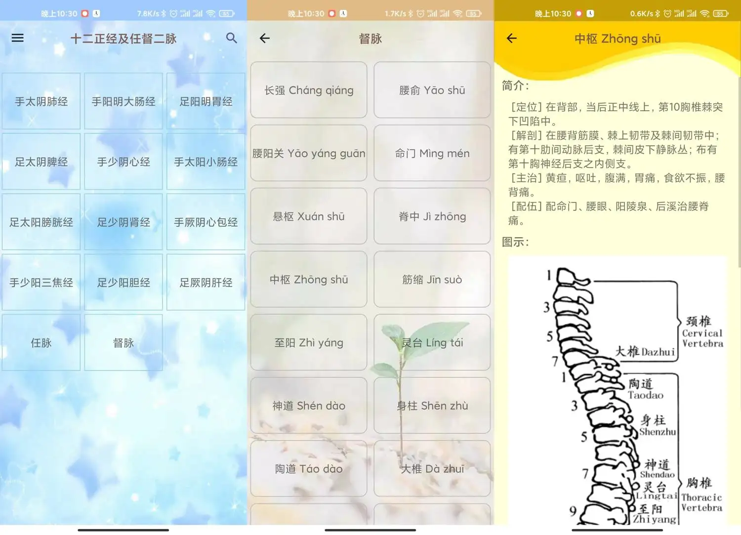 人体穴位图解 v3.1.8APP可离线，健康养生好帮手