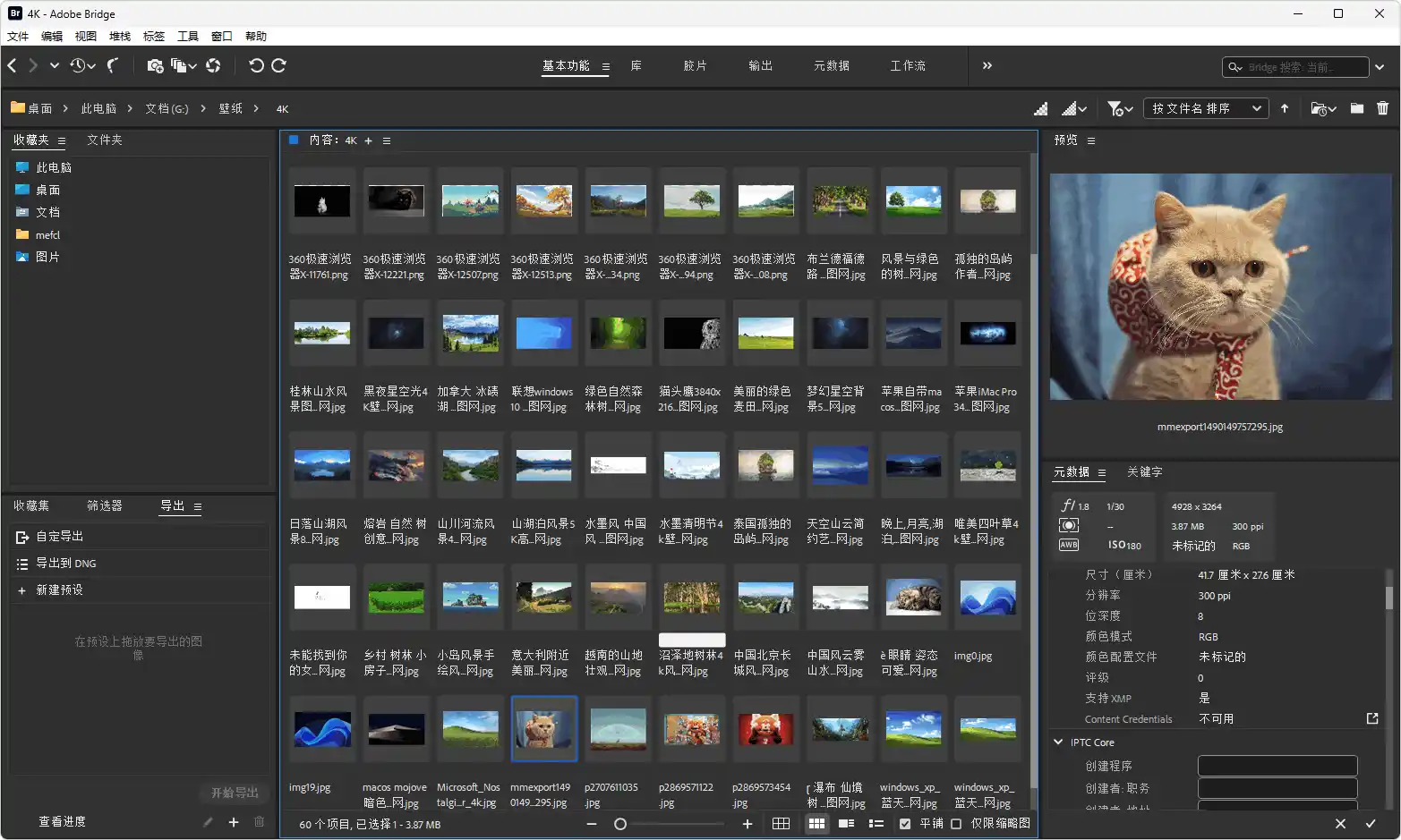Adobe Bridge 2025 v15.1.0简体中文激活版