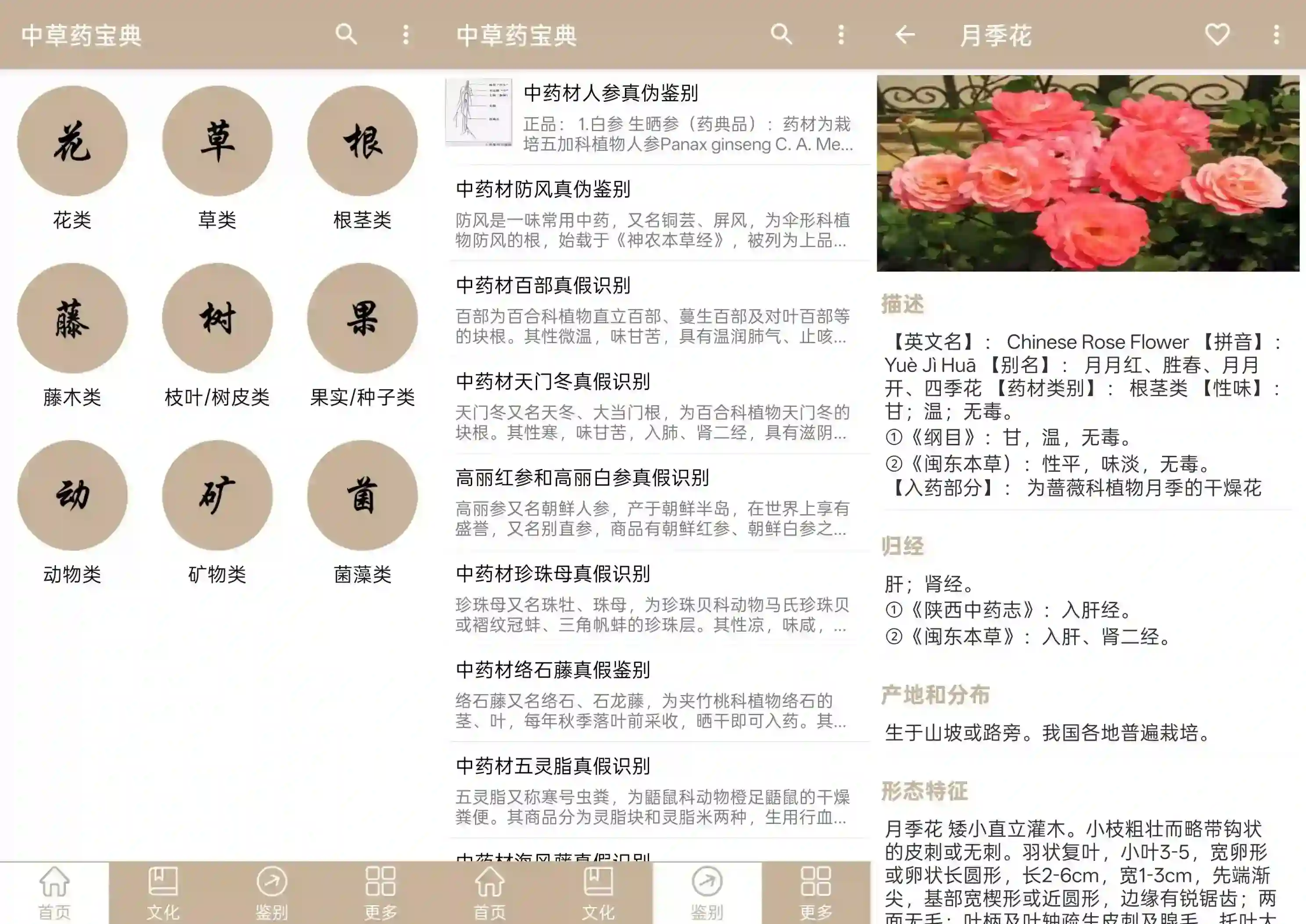 安卓中草药宝典 v2.6：中药爱好者宝典