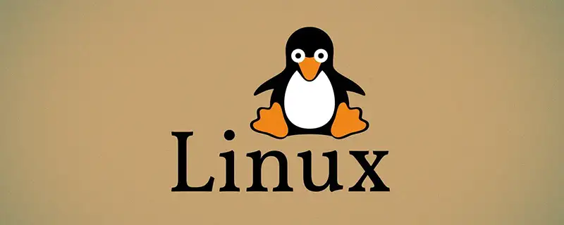 Linux环境变量怎么设置？Linux临时/永久设置环境变量实战教程（含系统级配置）