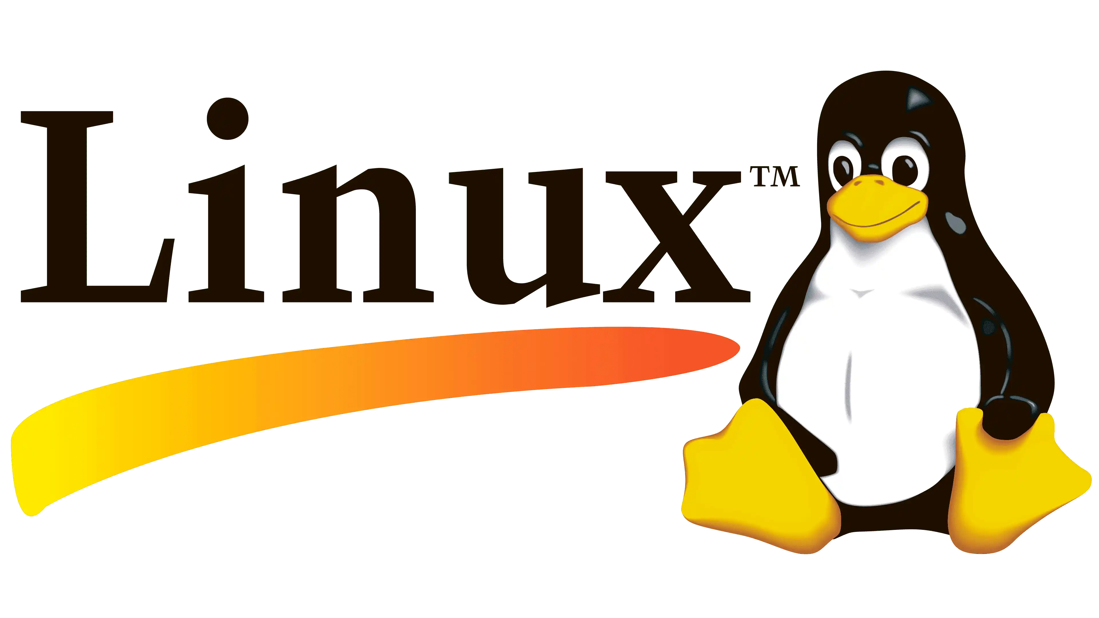 Linux history命令完全指南： 命令的基础用法与个性化配置