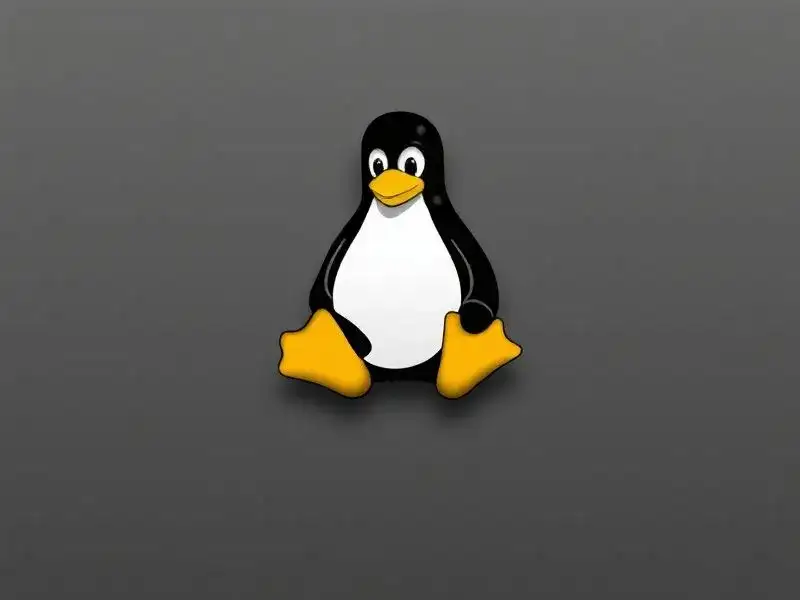 Linux 网络配置详解：netmask 设置实战操作指南