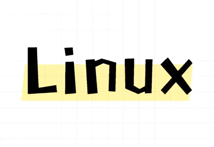 Linux ls命令使用方法详解：文件列表查看与高效管理技巧