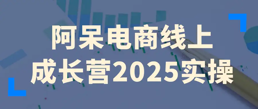 阿呆电商线上成长营实操课-2025电商赛道，从0到盈利的快速突破指南