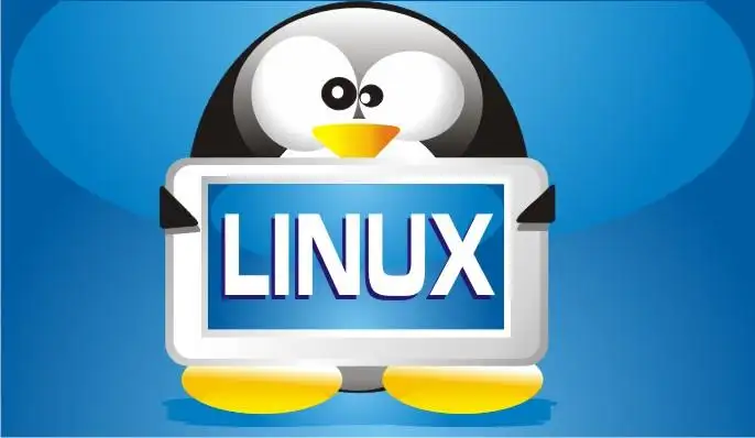 Linux物理查看内存管理教程：常用命令与优化技巧