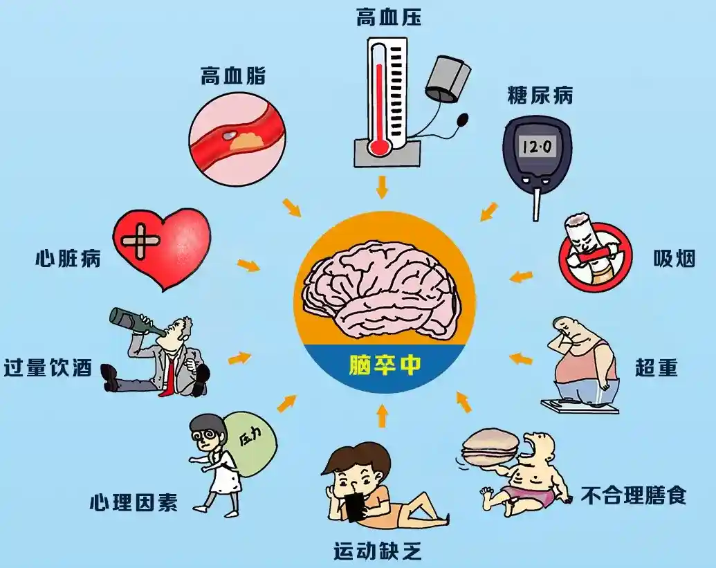 常见疾病症状与病因对照指南：从体征识别到健康预警