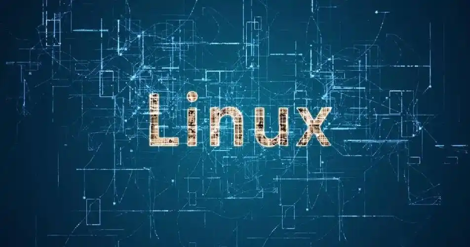 Linux系统中EXT4文件系统的创建与应用