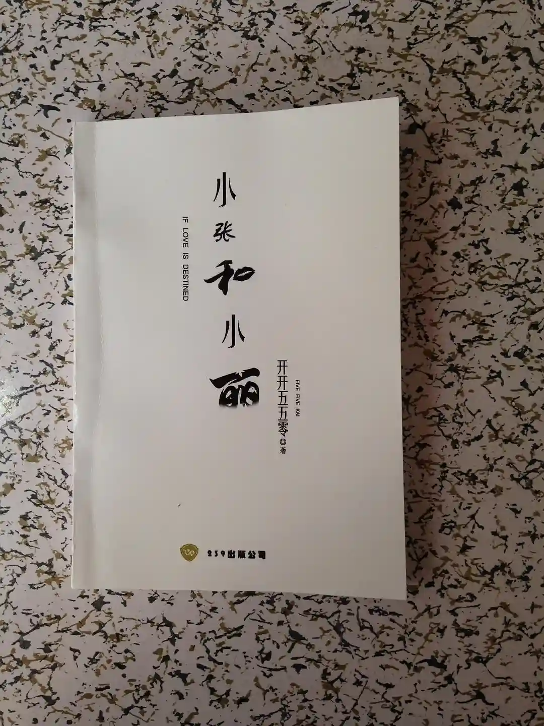 《小张和小丽》作者：开开550 TXT下载