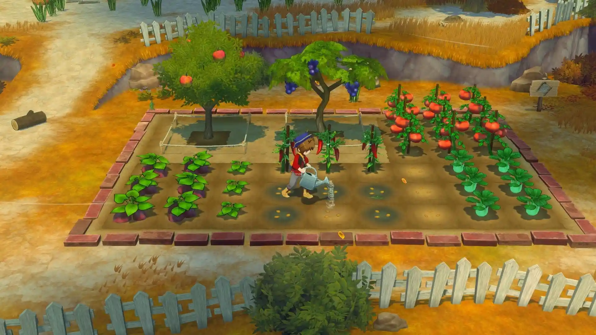模拟经营游戏《牧场物语 来吧！风之繁华集市》v1.0.4中文版