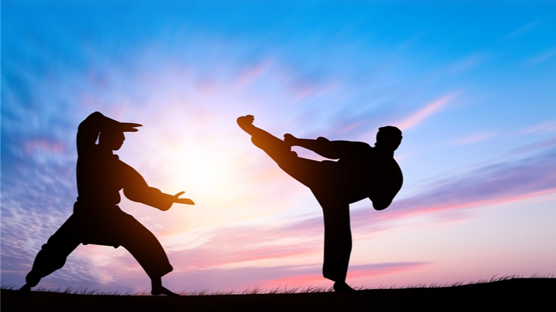 八段锦、易筋经、五禽戏、六字诀、太极拳、八卦拳、咏春拳、形意拳等PDF+视频教程